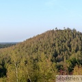 Terrils de Sabatier - Forêt de Raisme - 16/10/2011