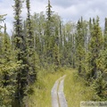Hidden Lake Trail, Tetlin wildlife refuge, Alaska
