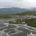 Savage River, Denali Park, Alaska