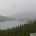 Teslin and yukon rivers, Yukon, Canada