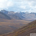 Goldensides trail, Tombstone Park, Dempster Highway, Yukon, Canada