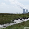 Saeftinghe et centrale nucléaire de Doel