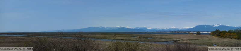 Panorama nord Reifel Migratory Bird Sanctuaryp.jpg