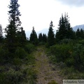 Auriol trail, Kluane Park, Yukon