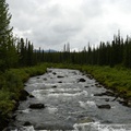 Brushkana Creek, Denali Highway, Alaska
