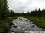 Brushkana Creek, Denali Highway, Alaska