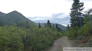 Road to Red Ridge, Yukon