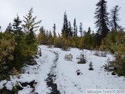 Auriol Trail, Kluane Park, Yukon, Canada