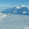Mont Logan, Kluane Park, Canada, Kluane Glacier Air Tours