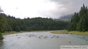 Chilkoot River, Haines, Alaska
