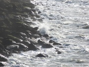 Falaise au sud du Cap Gris Nez