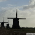 Des moulins, quelque part en Hollande...