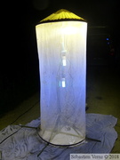 Dispositif lumineux combinant différents types de lampes (fluoro-compactes et à vapeur de mercure)