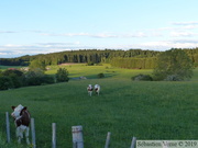 Prairies du Jura, environs de Frasnes