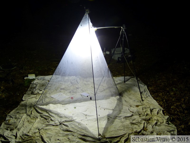 Lampe à vapeur de mercure 125W dans le Phare-Pyramide